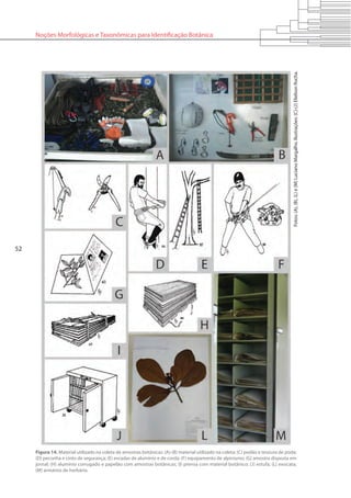 52
Noções Morfológicas e Taxonômicas para Identificação Botânica
Figura 14. Material utilizado na coleta de amostras botânicas: (A)-(B) material utilizado na coleta; (C) podão e tesoura de poda;
(D) peconha e cinto de segurança; (E) escadas de alumínio e de corda; (F) equipamento de alpinismo; (G) amostra disposta em
jornal; (H) alumínio corrugado e papelão com amostras botânicas; (I) prensa com material botânico; (J) estufa; (L) exsicata;
(M) armários de herbário.
Fotos:(A),(B),(L)e(M)LucianoMargalho.Ilustrações:(C)-(J)ElielsonRocha.
 