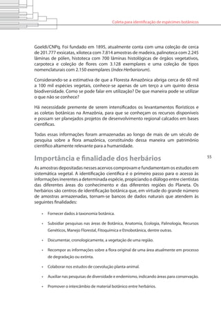 Coleta para identificação de espécimes botânicos
55
Goeldi/CNPq. Foi fundado em 1895, atualmente conta com uma coleção de cerca
de 201.777 exsicatas, xiloteca com 7.814 amostras de madeira, palinoteca com 2.245
lâminas de pólen, histoteca com 700 lâminas histológicas de órgãos vegetativos,
carpoteca e coleção de flores com 3.128 exemplares e uma coleção de tipos
nomenclaturais com 2.150 exemplares (Index Herbariorum).
Considerando-se a estimativa de que a Floresta Amazônica abriga cerca de 60 mil
a 100 mil espécies vegetais, conhece-se apenas de um terço a um quinto dessa
biodiversidade. Como se pode falar em utilização? De que maneira pode se utilizar
o que não se conhece?
Há necessidade premente de serem intensificados os levantamentos florísticos e
as coletas botânicas na Amazônia, para que se conheçam os recursos disponíveis
e possam ser planejados projetos de desenvolvimento regional calcados em bases
científicas.
Todas essas informações foram armazenadas ao longo de mais de um século de
pesquisa sobre a flora amazônica, constituindo dessa maneira um patrimônio
científico altamente relevante para a humanidade.
Importância e finalidade dos herbários
As amostras depositadas nesses acervos comprovam e fundamentam os estudos em
sistemática vegetal. A identificação científica é o primeiro passo para o acesso às
informações inerentes a determinada espécie, propiciando o diálogo entre cientistas
das diferentes áreas do conhecimento e das diferentes regiões do Planeta. Os
herbários são centros de identificação botânica que, em virtude do grande número
de amostras armazenadas, tornam-se bancos de dados naturais que atendem às
seguintes finalidades:
•	 Fornecer dados à taxonomia botânica.
•	 Subsidiar pesquisas nas áreas de Botânica, Anatomia, Ecologia, Palinologia, Recursos
Genéticos, Manejo Florestal, Fitoquímica e Etnobotânica, dentre outras.
•	 Documentar, cronologicamente, a vegetação de uma região.
•	 Recompor as informações sobre a flora original de uma área atualmente em processo
de degradação ou extinta.
•	 Colaborar nos estudos de coevolução planta-animal.
•	 Auxiliar nas pesquisas de diversidade e endemismo, indicando áreas para conservação.
•	 Promover o intercâmbio de material botânico entre herbários.
 