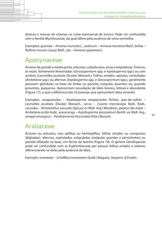Caracterização das principais famílias botânicas que
ocorrem na Amazônia Brasileira
61
dísticas e marcas de chamas no corte transversal do tronco. Pode ser confundida
com a família Myristicaceae, da qual difere pela ausência de seiva vermelha.
Exemplos: graviola – Annona muricata L., araticum – Annona montana Macf., biriba –
Rollinia mucosa (Jacq.) Baill., ata – Annona squamosa L.
Apocynaceae
Árvoresdegrandeamédioporte,arbustos,subarbustos,ervasetrepadeiras.Troncos,
às vezes, fortemente fenestrados (Geissospermum spp. e Aspidosperma spp.) ou com
acúleos (Lacmellea aculeata (Ducke) Monach.). Folhas simples, opostas, verticiladas
(Ambelania spp.) ou alternas (Aspidosperma spp. e Geissospermum spp.), geralmente
possuem glândulas na base do limbo ou pecíolo; estípulas ausentes ou, quando
presentes, pequenas. Apresentam exsudação de látex branco, leitoso e abundante
(Figura 17), o que a diferencia das Clusiaceae, que apresentam látex amarelo.
Exemplos: carapanaúba – Aspidosperma carapanauba Pichon, pau-de-colher –
Lacmellea aculeata (Ducke) Monach., sorva – Couma macrocarpa Barb. Rodr.,
sucuúba – Himatanthus sucuuba (Spruce ex Müll. Arg.) Woodson, pepino-do-mato –
Ambelania acida Aubl., araracanga – Aspidosperma spruceanum Benth. ex Müll. Arg.,
amapá-amargoso – Parahancornia fasciculata (Poir.) Benoist.
Araliaceae
Árvores ou arbustos, raro epífitas ou hemiepífitas, folhas simples ou compostas
(digitadas), alternas, espiraladas, estipuladas (estípulas grandes e persistentes) ou
pecíolo dilatado na base, em forma de bainha (Figura 18). O gênero Dendropanax
pode ser confundido com as Euphorbiaceae por possuir folhas simples e inteiras,
diferenciando-se delas pela ausência de látex.
Exemplo: morototó – Schefflera morototoni (Aubl.) Maguire, Steyerm. & Frodin.
 