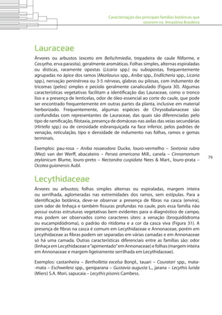 Caracterização das principais famílias botânicas que
ocorrem na Amazônia Brasileira
79
Lauraceae
Árvores ou arbustos (exceto em Beilschmiedia, trepadeira de caule filiforme, e
Cassytha, erva parasita), geralmente aromáticas. Folhas simples, alternas espiraladas
ou dísticas, raramente opostas (Licaria spp.) ou subopostas, frequentemente
agrupadas no ápice dos ramos (Mezilaurus spp., Aniba spp., Endlicheria spp., Licaria
spp.), nervação peninérvea ou 3-5 nérveas, glabras ou pilosas, com indumento de
tricomas (pelos) simples e pecíolo geralmente canaliculado (Figura 30). Algumas
características vegetativas facilitam a identificação das Lauraceae, como o tronco
liso e a presença de lenticelas, odor de óleo essencial ao corte do caule, que pode
ser encontrado frequentemente em outras partes da planta, inclusive em material
herborizado. Frequentemente, algumas espécies de Chrysobalanaceae são
confundidas com representantes de Lauraceae, das quais são diferenciadas pelo
tipo de ramificação, filotaxia, presença de domáceas nas axilas das veias secundárias
(Hirtella spp.) ou de cerosidade esbranquiçada na face inferior, pelos padrões de
venação, reticulação, tipo e densidade de indumento nas folhas, ramos e gemas
terminais.
Exemplos: pau-rosa – Aniba rosaeodora Ducke, louro-vermelho – Sextonia rubra
(Mez) van der Werff, abacateiro – Persea americana Mill., canela – Cinnamomum
zeylanicum Blume, louro-preto – Nectandra cuspidata Nees & Mart., louro-prata –
Ocotea guianensis Aubl.
Lecythidaceae
Árvores ou arbustos; folhas simples alternas ou espiraladas, margem inteira
ou serrilhada, aglomeradas nas extremidades dos ramos, sem estípulas. Para a
identificação botânica, deve-se observar a presença de fibras na casca (envira),
com odor de linhaça e também fissuras profundas no caule, pois essa família não
possui outras estruturas vegetativas bem evidentes para o diagnóstico de campo,
mas podem ser observados como caracteres úteis: a venação (broquidódroma
ou eucampidódroma), o padrão do ritidoma e a cor da casca viva (Figura 31). A
presença de fibras na casca é comum em Lecythidaceae e Annonaceae, porém em
Lecythidaceae as fibras podem ser separadas em várias camadas e em Annonaceae
só há uma camada. Outras características diferenciais entre as famílias são: odor
(linhaça em Lecythidaceae e“apimentado”em Annonaceae) e folhas (margem inteira
em Annonaceae e margem ligeiramente serrilhada em Lecythidaceae).
Exemplos: castanheira – Bertholletia excelsa Bonpl., tauari – Couratari spp., mata-
-mata – Eschweilera spp., geniparana – Gustavia augusta L., jarana – Lecythis lurida
(Miers) S.A. Mori, sapucaia – Lecythis pisonis Cambess.
 