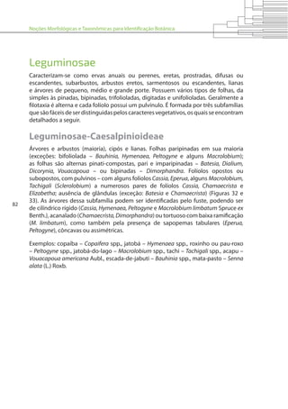 Noções Morfológicas e Taxonômicas para Identificação Botânica
82
Leguminosae
Caracterizam-se como ervas anuais ou perenes, eretas, prostradas, difusas ou
escandentes, subarbustos, arbustos eretos, sarmentosos ou escandentes, lianas
e árvores de pequeno, médio e grande porte. Possuem vários tipos de folhas, da
simples às pinadas, bipinadas, trifolioladas, digitadas e unifolioladas. Geralmente a
filotaxia é alterna e cada folíolo possui um pulvínulo. É formada por três subfamílias
quesãofáceisdeserdistinguidaspeloscaracteresvegetativos,osquaisseencontram
detalhados a seguir.
Leguminosae-Caesalpinioideae
Árvores e arbustos (maioria), cipós e lianas. Folhas paripinadas em sua maioria
(exceções: bifoliolada – Bauhinia, Hymenaea, Peltogyne e alguns Macrolobium);
as folhas são alternas pinati-compostas, pari e imparipinadas – Batesia, Dialium,
Dicorynia, Vouacapoua – ou bipinadas – Dimorphandra. Folíolos opostos ou
subopostos, com pulvinos – com alguns folíolos Cassia, Eperua, alguns Macrolobium,
Tachigali (Sclerolobium) a numerosos pares de folíolos Cassia, Chamaecrista e
Elizabetha; ausência de glândulas (exceção: Batesia e Chamaecrista) (Figuras 32 e
33). As árvores dessa subfamília podem ser identificadas pelo fuste, podendo ser
de cilíndrico rígido (Cassia, Hymenaea, Peltogyne e Macrolobium limbatum Spruce ex
Benth.), acanalado (Chamaecrista,Dimorphandra) ou tortuoso com baixa ramificação
(M. limbatum), como também pela presença de sapopemas tabulares (Eperua,
Peltogyne), côncavas ou assimétricas.
Exemplos: copaíba – Copaifera spp., jatobá – Hymenaea spp., roxinho ou pau-roxo
– Peltogyne spp., jatobá-do-lago – Macrolobium spp., tachi – Tachigali spp., acapu –
Vouacapoua americana Aubl., escada-de-jabuti – Bauhinia spp., mata-pasto – Senna
alata (L.) Roxb.
 