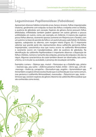 Caracterização das principais famílias botânicas que
ocorrem na Amazônia Brasileira
87
Leguminosae-Papilionoideae (Faboideae)
Apresentam diversos hábitos incluindo ervas, lianas e árvores. Folhas imparipinadas
(maioria), geralmente com estípulas na base das folhas e estipelas entre os folíolos,
e ausência de glândulas sem exceção. Espécies do gênero Zornia possuem folhas
bifolioladas; trifolioladas também podem aparecer em outros gêneros e poucas
unifolioladas em outros, como, por exemplo, em Zollernia. A maioria das espécies
possui folhas alternas, raramente opostas (somente em Platymiscium e Taralea), com
um pulvino na base do pecíolo da folha e um pulvínulo para cada folíolo. Os folíolos
opostos, subopostos ou alternos, com margem inteira (Figura 35). É importante
salientar que grande parte dos representantes dessa subfamília apresenta folhas
imparipinadas, característica essa que nunca ocorre na subfamília Mimosoideae
e raramente ocorre em Caesalpinioideae, além da ausência de glândulas. Na
identificação da subfamília Papilionoideae é importante observar a disposição de
folhas e folíolos, número e tamanho das estípulas, presença de estípulas e de alas na
ráquis. Algumas características do caule também devem ser observadas, tais como:
a forma, se é circular ou acanalado, e presença de exsudação vermelha.
Exemplos: cumaru – Dipteryx spp., mututi – Pterocarpus sp. e Etaballia spp., pitaíca
– Swartzia spp., pau-santo – Zollernia paraensis Huber, timbó – Derris spp., uchi-de-
-morcego – Andira sp., carrapicho – Desmodium spp., angelim – Hymenolobium spp.
(há também a espécie Diniziaexcelsa Ducke que é conhecida por esse nome comum,
mas pertence à subfamília Mimosoideae), macacaúba – Platymiscium spp., tento –
Ormosia spp. (existem espécies do gênero Abarema da subfamília Mimosoideae que
são conhecidas como tento).
 