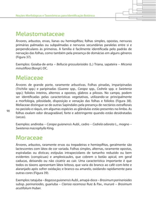 Noções Morfológicas e Taxonômicas para Identificação Botânica
90
Melastomataceae
Árvores, arbustos, ervas, lianas ou hemiepífitas; folhas simples, opostas, nervuras
primárias palmadas ou subpalmadas e nervuras secundárias paralelas entre si e
perpendiculares às primeiras. A família é facilmente identificada pelo padrão de
nervação das folhas, como também pela presença de domácias em alguns gêneros
(Figura 37).
Exemplos: Goiaba-de-anta – Bellucia grossularioides (L.) Triana, sapateira – Miconia
minutiflora (Bonpl.) DC.
Meliaceae
Árvores de grande porte, raramente arbustivas. Folhas pinadas, imparipinadas
(Trichilia spp.) e paripinadas (Guarea spp., Carapa spp., Cedrela spp. e Swietenia
spp.); folíolos inteiros, alternos a opostos, glabros a pilosos. No campo, podem
ser identificadas pelas características vegetativas, utilizando-se principalmente
a morfologia, pilosidade, disposição e venação das folhas e folíolos (Figura 38).
Meliaceae distingue-se de outras Sapindales pela presença de nectários extraflorais
no pecíolo e ráquis, em algumas espécies as glândulas estão presentes no limbo. As
folhas exalam odor desagradável, forte e adstringente quando estão desidratadas
(secas).
Exemplos: andiroba – Carapa guianensis Aubl., cedro – Cedrela odorata L., mogno –
Swietenia macrophylla King.
Moraceae
Árvores, arbustos, raramente ervas ou trepadeiras e hemiepífitas, geralmente são
lactescentes com látex de cor variada. Folhas simples, alternas, raramente opostas,
espiraladas ou dísticas; estípulas intrapeciolares de tamanho reduzido ou bem
evidentes (conspícuas) e amplexicaules, que cobrem o botão apical, em geral
caducas, deixando ou não cicatriz ao cair. Uma característica importante é que
todos os táxons apresentam látex leitoso, que varia do branco ao café-com-leite e
alaranjado após sofrer oxidação; e branco ou amarelo, oxidando rapidamente para
outras cores (Figura 39).
Exemplos: tatajuba – Bagassaguianensis Aubl., amapá-doce – Brosimumparinarioides
subsp. parinarioides, guariuba – Clarisia racemosa Ruiz & Pav., mururé – Brosimum
acutifolium Huber.
 