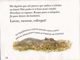 Livro lavar, escovar e esfregar