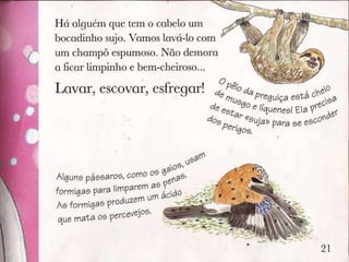 Livro lavar, escovar e esfregar