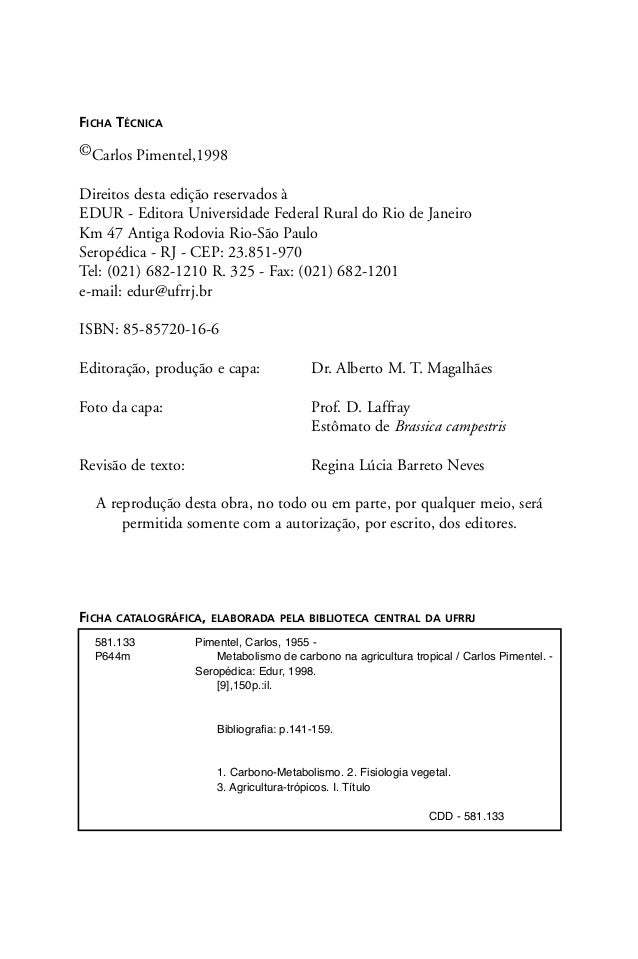 La mejor manera tu cura el metabolismo basal