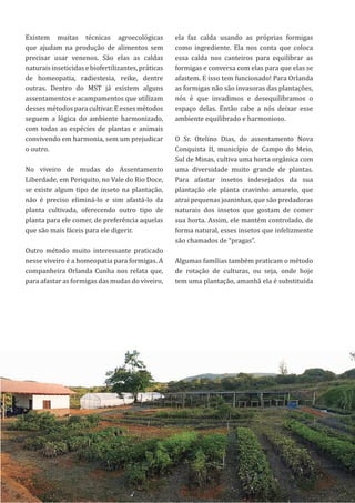 39
Existem muitas técnicas agroecológicas
que ajudam na produção de alimentos sem
precisar usar venenos. São elas as caldas
naturaisinseticidasebiofertilizantes,práticas
de homeopatia, radiestesia, reike, dentre
outras. Dentro do MST já existem alguns
assentamentos e acampamentos que utilizam
desses métodos para cultivar. E esses métodos
seguem a lógica do ambiente harmonizado,
com todas as espécies de plantas e animais
convivendo em harmonia, sem um prejudicar
o outro.
No viveiro de mudas do Assentamento
Liberdade, em Periquito, no Vale do Rio Doce,
se existe algum tipo de inseto na plantação,
não é preciso eliminá-lo e sim afastá-lo da
planta cultivada, oferecendo outro tipo de
planta para ele comer, de preferência aquelas
que são mais fáceis para ele digerir.
Outro método muito interessante praticado
nesse viveiro é a homeopatia para formigas. A
companheira Orlanda Cunha nos relata que,
para afastar as formigas das mudas do viveiro,
ela faz calda usando as próprias formigas
como ingrediente. Ela nos conta que coloca
essa calda nos canteiros para equilibrar as
formigas e conversa com elas para que elas se
afastem. E isso tem funcionado! Para Orlanda
as formigas não são invasoras das plantações,
nós é que invadimos e desequilibramos o
espaço delas. Então cabe a nós deixar esse
ambiente equilibrado e harmonioso.
O Sr. Otelino Dias, do assentamento Nova
Conquista II, município de Campo do Meio,
Sul de Minas, cultiva uma horta orgânica com
uma diversidade muito grande de plantas.
Para afastar insetos indesejados da sua
plantação ele planta cravinho amarelo, que
atrai pequenas joaninhas, que são predadoras
naturais dos insetos que gostam de comer
sua horta. Assim, ele mantém controlado, de
forma natural, esses insetos que infelizmente
são chamados de “pragas”.
Algumas famílias também praticam o método
de rotação de culturas, ou seja, onde hoje
tem uma plantação, amanhã ela é substituída
 