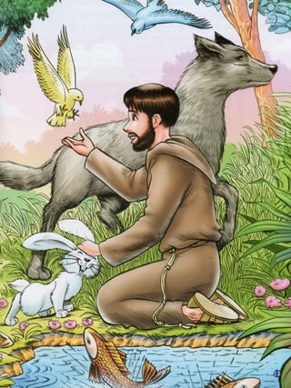 Livro   os dois franciscos