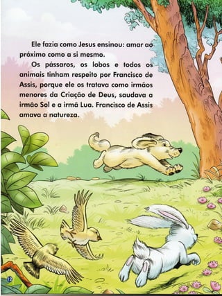 Livro   os dois franciscos