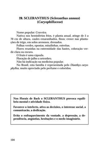 28. SCLERANTHUS (Scleranthus annuus)
(Caryophillaceae)
Nome popular: Craveira.
Nativa nos hemisférios frios, é planta anual, atinge de 5 a
70 cm de altura, caules emaranhados, finos; cresce nas planta-
ções de trigo, em solos arenosos, drenados.
Folhas verdes, opostas, miudinhas, estreitas.
Flores reunidas na extremidade das hastes, coloração ver-
de-clara ou escura.
O fruto é uma cápsula.
Floração de julho a setembro.
Não há indicação na medicina popular.
No Brasil, esta família é representada pelo Dianthys caryo-
phyllus, muito apreciado pelo perfume e coloridos.
Nos Florais de Bach o SCLERANTHUS provoca equilí-
brio mental e atividade física.
Favorece o intelecto, ativa as decisões, o interesse social, a
comunicacão, a dedicação.
Evita o enfraquecimento da vontade, a depressão, a de-
pendência, angústias, hesitações e o medo imaginário.
104
 