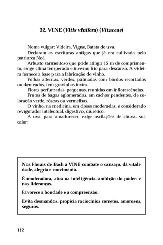 32. VINE (Vitis vinifera) (Vitaceae)
Nome vulgar: Videira, Vigne, Batata de uva.
Declaram as escrituras antigas que já era cultivada pelo
patriarca Noé.
Arbusto sarmentoso que pode atingir 15 m de comprimen-
to, exige clima temperado e inverno frio para descanso. A videi-
ra fornece a base para a fabricação do vinho.
Folhas alternas, verdes, palmadas com bordos recortados
ou denteados, tem gravinhas fortes.
Flores perfumadas, pequenas, reunidas em inflorescências.
Frutos de bagas aglomeradas, em cachos pendentes, de co-
loração verde, róseas ou vermelhas.
O vinho, na medicina, em doses moderadas, é considerado
revigorador intelectual, digestivo, diurético.
A uva, para amadurecer, exige oscilações de chuva, sol,
calor.
Nos Florais de Bach a VINE combate o cansaço, dá vitali-
dade, alegria e movimento.
É moderadora, atua na inteligência, ambição do poder, e
nas lideranças.
Favorece a bondade e a compreensão.
Evita desmandos, propicia raciocínios corretos, amorosos,
seguros.
112
 