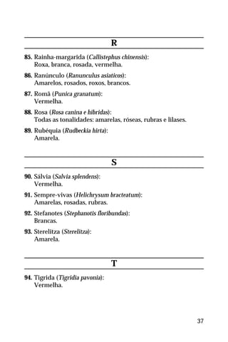 R
85. Rainha-margarida (Callistephus chinensis):
Roxa, branca, rosada, vermelha.
86. Ranúnculo (Ranunculus asiaticos):
Amarelos, rosados, roxos, brancos.
87. Romã (Punica granatum):
Vermelha.
88. Rosa (Rosa canina e hibridas):
Todas as tonalidades: amarelas, róseas, rubras e lilases.
89. Rubéquia (Rudbeckia hirta):
Amarela.
S
90. Sálvia (Salvia splendens):
Vermelha.
91. Sempre-vivas (Helichrysum bracteatum):
Amarelas, rosadas, rubras.
92. Stefanotes (Stephanotis floribundas):
Brancas.
93. Sterelitza (Sterelitza):
Amarela.
T
94. Tigrida (Tigridia pavonia):
Vermelha.
37
 