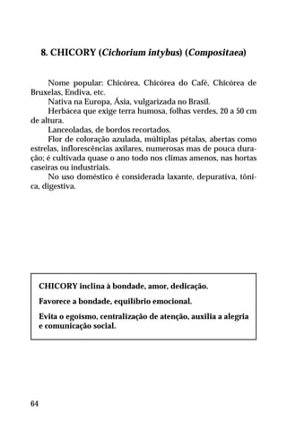 8. CHICORY (Cichorium intybus) (Compositaea)
Nome popular: Chicórea, Chicórea do Café, Chicórea de
Bruxelas, Endiva, etc.
Nativa na Europa, Ásia, vulgarizada no Brasil.
Herbácea que exige terra humosa, folhas verdes, 20 a 50 cm
de altura.
Lanceoladas, de bordos recortados.
Flor de coloração azulada, múltiplas pétalas, abertas como
estrelas, inflorescências axilares, numerosas mas de pouca dura-
ção; é cultivada quase o ano todo nos climas amenos, nas hortas
caseiras ou industriais.
No uso doméstico é considerada laxante, depurativa, tôni-
ca, digestiva.
CHICORY inclina à bondade, amor, dedicação.
Favorece a bondade, equilíbrio emocional.
Evita o egoísmo, centralização de atenção, auxilia a alegria
e comunicação social.
64
 