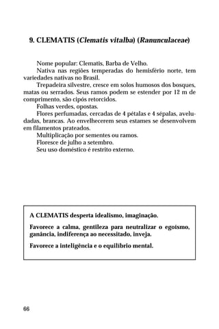 9. CLEMATIS (Clematis vitalba) (Ranunculaceae)
Nome popular: Clematis, Barba de Velho.
Nativa nas regiões temperadas do hemisfério norte, tem
variedades nativas no Brasil.
Trepadeira silvestre, cresce em solos humosos dos bosques,
matas ou serrados. Seus ramos podem se estender por 12 m de
comprimento, são cipós retorcidos.
Folhas verdes, opostas.
Flores perfumadas, cercadas de 4 pétalas e 4 sépalas, avelu-
dadas, brancas. Ao envelhecerem seus estames se desenvolvem
em filamentos prateados.
Multiplicação por sementes ou ramos.
Floresce de julho a setembro.
Seu uso doméstico é restrito externo.
A CLEMATIS desperta idealismo, imaginação.
Favorece a calma, gentileza para neutralizar o egoísmo,
ganância, indiferença ao necessitado, inveja.
Favorece a inteligência e o equilíbrio mental.
66
 