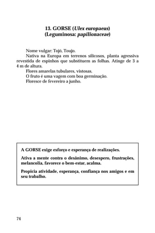 13. GORSE (Ulex europaeus)
(Leguminosa: papilionaceae)
Nome vulgar: Tojó, Toujo.
Nativa na Europa em terrenos silicosos, planta agressiva
revestida de espinhos que substituem as folhas. Atinge de 3 a
4 m de altura.
Flores amarelas tubulares, vistosas.
O fruto é uma vagem com boa germinação.
Floresce de fevereiro a junho.
A GORSE exige esforço e esperança de realizações.
Ativa a mente contra o desânimo, desespero, frustrações,
melancolia, favorece o bem-estar, acalma.
Propicia atividade, esperança, confiança nos amigos e em
seu trabalho.
74
 