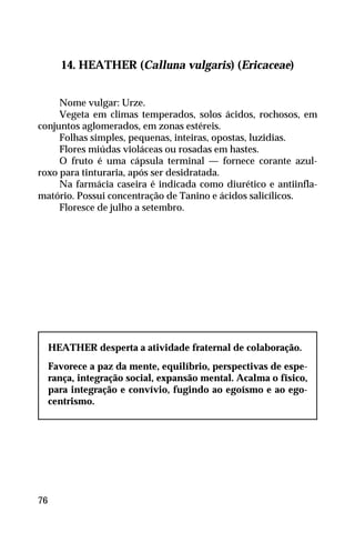14. HEATHER (Calluna vulgaris) (Ericaceae)
Nome vulgar: Urze.
Vegeta em climas temperados, solos ácidos, rochosos, em
conjuntos aglomerados, em zonas estéreis.
Folhas simples, pequenas, inteiras, opostas, luzidias.
Flores miúdas violáceas ou rosadas em hastes.
O fruto é uma cápsula terminal — fornece corante azul-
roxo para tinturaria, após ser desidratada.
Na farmácia caseira é indicada como diurético e antiinfla-
matório. Possui concentração de Tanino e ácidos salicílicos.
Floresce de julho a setembro.
HEATHER desperta a atividade fraternal de colaboração.
Favorece a paz da mente, equilíbrio, perspectivas de espe-
rança, integração social, expansão mental. Acalma o físico,
para integração e convívio, fugindo ao egoísmo e ao ego-
centrismo.
76
 