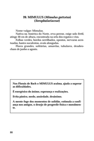 20. MIMULUS (Mimulus guttatus)
(Serophulariaceae)
Nome vulgar: Mimulus.
Nativa na América do Norte, erva perene, exige solo fértil,
atinge 30 cm de altura, encontrada na orla dos regatos e rios.
Folhas verdes, bordos serrilhados, opostos, nervuras acen-
tuadas, hastes suculentas, ovais alongadas.
Flores grandes, solitárias, amarelas, tubulares, desabro-
cham de junho a agosto.
Nos Florais de Bach o MIMULUS acalma, ajuda a superar
as dificuldades.
É energésico do ânimo, esperança e realizações.
Evita pânico, medo, ansiedade, desânimo.
A mente foge dos momentos de solidão, estimula a confi-
ança nos amigos, o desejo de progredir física e moralmen-
te.
88
 