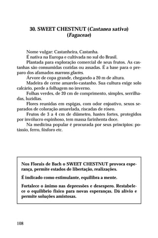 30. SWEET CHESTNUT (Castanea sativa)
(Fagaceae)
Nome vulgar: Castanheira, Castanha.
É nativa na Europa e cultivada no sul do Brasil.
Plantada para exploração comercial de seus frutos. As cas-
tanhas são consumidas cozidas ou assadas. É a base para o pre-
paro dos afamados marrons glacées.
Árvore de copa grande, chegando a 20 m de altura.
Madeira de cerne amarelo-castanho. Sua cultura exige solo
calcário, perde a folhagem no inverno.
Folhas verdes, de 20 cm de comprimento, simples, serrilha-
das, luzidias.
Flores reunidas em espigas, com odor enjoativo, sexos se-
parados de coloração amarelada, riscadas de róseo.
Frutos de 3 a 4 cm de diâmetro, hastes fortes, protegidos
por invólucro espinhoso, tem massa farinhenta doce.
Na medicina popular é procurada por seus princípios: po-
tássio, ferro, fósforo etc.
Nos Florais de Bach o SWEET CHESTNUT provoca espe-
rança, permite estados de libertação, realizações.
É indicado como estimulante, equilibra a mente.
Fortalece o ânimo nas depressões e desespero. Restabele-
ce o equilíbrio físico para novas esperanças. Dá alívio e
permite soluções amistosas.
108
 