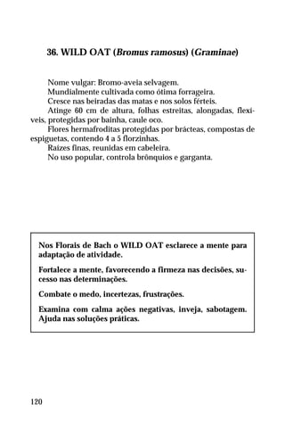 36. WILD OAT (Bromus ramosus) (Graminae)
Nome vulgar: Bromo-aveia selvagem.
Mundialmente cultivada como ótima forrageira.
Cresce nas beiradas das matas e nos solos férteis.
Atinge 60 cm de altura, folhas estreitas, alongadas, flexí-
veis, protegidas por bainha, caule oco.
Flores hermafroditas protegidas por brácteas, compostas de
espiguetas, contendo 4 a 5 florzinhas.
Raízes finas, reunidas em cabeleira.
No uso popular, controla brônquios e garganta.
Nos Florais de Bach o WILD OAT esclarece a mente para
adaptação de atividade.
Fortalece a mente, favorecendo a firmeza nas decisões, su-
cesso nas determinações.
Combate o medo, incertezas, frustrações.
Examina com calma ações negativas, inveja, sabotagem.
Ajuda nas soluções práticas.
120
 