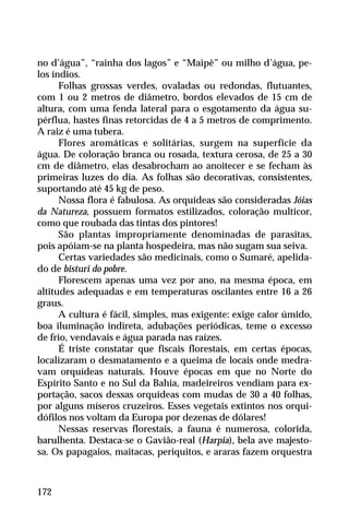 no d’água”, “rainha dos lagos” e “Maipê” ou milho d’água, pe-
los índios.
Folhas grossas verdes, ovaladas ou redondas, flutuantes,
com 1 ou 2 metros de diâmetro, bordos elevados de 15 cm de
altura, com uma fenda lateral para o esgotamento da água su-
pérflua, hastes finas retorcidas de 4 a 5 metros de comprimento.
A raiz é uma tubera.
Flores aromáticas e solitárias, surgem na superfície da
água. De coloração branca ou rosada, textura cerosa, de 25 a 30
cm de diâmetro, elas desabrocham ao anoitecer e se fecham às
primeiras luzes do dia. As folhas são decorativas, consistentes,
suportando até 45 kg de peso.
Nossa flora é fabulosa. As orquídeas são consideradas Jóias
da Natureza, possuem formatos estilizados, coloração multicor,
como que roubada das tintas dos pintores!
São plantas impropriamente denominadas de parasitas,
pois apóiam-se na planta hospedeira, mas não sugam sua seiva.
Certas variedades são medicinais, como o Sumaré, apelida-
do de bisturi do pobre.
Florescem apenas uma vez por ano, na mesma época, em
altitudes adequadas e em temperaturas oscilantes entre 16 a 26
graus.
A cultura é fácil, simples, mas exigente: exige calor úmido,
boa iluminação indireta, adubações periódicas, teme o excesso
de frio, vendavais e água parada nas raízes.
É triste constatar que fiscais florestais, em certas épocas,
localizaram o desmatamento e a queima de locais onde medra-
vam orquídeas naturais. Houve épocas em que no Norte do
Espírito Santo e no Sul da Bahia, madeireiros vendiam para ex-
portação, sacos dessas orquídeas com mudas de 30 a 40 folhas,
por alguns míseros cruzeiros. Esses vegetais extintos nos orqui-
dófilos nos voltam da Europa por dezenas de dólares!
Nessas reservas florestais, a fauna é numerosa, colorida,
barulhenta. Destaca-se o Gavião-real (Harpia), bela ave majesto-
sa. Os papagaios, maitacas, periquitos, e araras fazem orquestra
172
 