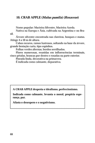 10. CRAB APPLE (Malus pumila) (Rosaceae)
Nome popular: Macieira Silvestre, Macieira Azeda.
Nativa na Europa e Ásia, cultivada na Argentina e no Bra-
sil.
Árvore silvestre encontrada nas clareiras, bosques e matas.
Atinge 4 a 10 m de altura.
Cabos escuros, ramos lustrosos, soltando na base da árvore,
grande brotação curta, tipo espinhos.
Folhas verdes alternas, bordos serrilhados.
Flores numerosas, reunidas em inflorescências terminais,
cinco pétalas, brancas por dentro e rosadas na parte exterior.
Florada linda, decorativa na primavera.
É indicada como calmante, depurativa.
A CRAB APPLE desperta o idealismo, perfeccionismo.
Indicada como calmante, levanta o moral, propicia espe-
rança, paz.
Afasta o desespero e o negativismo.
68
 