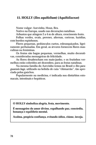 15. HOLLY (Ilex aquifolium) (Aquifoliaceae)
Nome vulgar: Azevinho, Houx, Ilex.
Nativo na Europa, usado nas decorações natalinas.
Arbustos que atingem 2 a 4 m de altura, crescimento lento.
Folhas verdes, ovais, perenes, alternas, coríceas, luzidias,
com bordos espinhosos.
Flores pequenas, pedúnculos curtos, esbranquiçados, ligei-
ramente perfumadas. Em geral, as árvores fornecem flores mas-
culinas ou femininas.
Os frutos são bagas pequenas, vermelhas, muito decorati-
vas, consideradas mensageiras de felicidade.
As flores desabrocham em maio-junho, e os frutinhos ver-
melhos estão coloridos até dezembro, para as festas natalinas.
Na mesma família do Azevinho temos no Brasil o Ilex para-
guaensis bage, utilizado na bebida de cuia “chimarrão”, tão apre-
ciada pelos gaúchos.
Popularmente na medicina, é indicada nos distúrbios esto-
macais, intestinais e hepáticos.
O HOLLY simboliza alegria, festa, movimento.
É mensageiro do amor divino, espalhando paz, concórdia,
bonança e equilíbrio mental.
Acalma, propicia confiança, evitando ódios, ciúme, inveja.
78
 