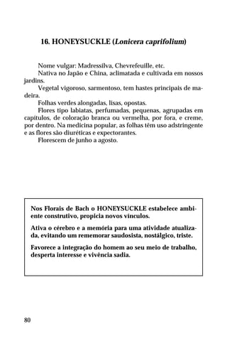 16. HONEYSUCKLE (Lonicera caprifolium)
Nome vulgar: Madressilva, Chevrefeuille, etc.
Nativa no Japão e China, aclimatada e cultivada em nossos
jardins.
Vegetal vigoroso, sarmentoso, tem hastes principais de ma-
deira.
Folhas verdes alongadas, lisas, opostas.
Flores tipo labiatas, perfumadas, pequenas, agrupadas em
capítulos, de coloração branca ou vermelha, por fora, e creme,
por dentro. Na medicina popular, as folhas têm uso adstringente
e as flores são diuréticas e expectorantes.
Florescem de junho a agosto.
Nos Florais de Bach o HONEYSUCKLE estabelece ambi-
ente construtivo, propicia novos vínculos.
Ativa o cérebro e a memória para uma atividade atualiza-
da, evitando um rememorar saudosista, nostálgico, triste.
Favorece a integração do homem ao seu meio de trabalho,
desperta interesse e vivência sadia.
80
 