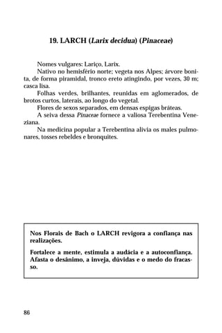 19. LARCH (Larix decidua) (Pinaceae)
Nomes vulgares: Lariço, Larix.
Nativo no hemisfério norte; vegeta nos Alpes; árvore boni-
ta, de forma piramidal, tronco ereto atingindo, por vezes, 30 m;
casca lisa.
Folhas verdes, brilhantes, reunidas em aglomerados, de
brotos curtos, laterais, ao longo do vegetal.
Flores de sexos separados, em densas espigas bráteas.
A seiva dessa Pinaceae fornece a valiosa Terebentina Vene-
ziana.
Na medicina popular a Terebentina alivia os males pulmo-
nares, tosses rebeldes e bronquites.
Nos Florais de Bach o LARCH revigora a confiança nas
realizações.
Fortalece a mente, estimula a audácia e a autoconfiança.
Afasta o desânimo, a inveja, dúvidas e o medo do fracas-
so.
86
 