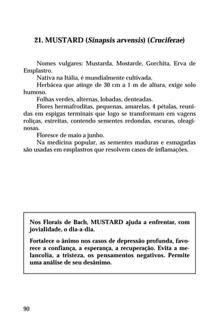 21. MUSTARD (Sinapsis arvensis) (Cruciferae)
Nomes vulgares: Mustarda, Mostarde, Gorchita, Erva de
Emplastro.
Nativa na Itália, é mundialmente cultivada.
Herbácea que atinge de 30 cm a 1 m de altura, exige solo
humoso.
Folhas verdes, alternas, lobadas, denteadas.
Flores hermafroditas, pequenas, amarelas, 4 pétalas, reuni-
das em espigas terminais que logo se transformam em vagens
roliças, estreitas, contendo sementes redondas, escuras, oleagi-
nosas.
Floresce de maio a junho.
Na medicina popular, as sementes maduras e esmagadas
são usadas em emplastros que resolvem casos de inflamações.
Nos Florais de Bach, MUSTARD ajuda a enfrentar, com
jovialidade, o dia-a-dia.
Fortalece o ânimo nos casos de depressão profunda, favo-
rece a confiança, a esperança, a recuperação. Evita a me-
lancolia, a tristeza, os pensamentos negativos. Permite
uma análise de seu desânimo.
90
 