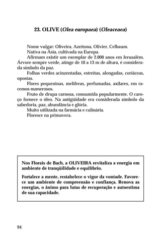 23. OLIVE (Olea europaea) (Oleaceaea)
Nome vulgar: Oliveira, Azeitona, Olivier, Celbaum.
Nativa na Ásia, cultivada na Europa.
Afirmam existir um exemplar de 2.000 anos em Jerusalém.
Árvore sempre verde, atinge de 10 a 13 m de altura, é considera-
da símbolo da paz.
Folhas verdes acinzentadas, estreitas, alongadas, coriáceas,
opostas.
Flores pequeninas, melíferas, perfumadas, axilares, em ra-
cemos numerosos.
Fruto de drupa carnosa, consumida popularmente. O caro-
ço fornece o óleo. Na antigüidade era considerada símbolo da
sabedoria, paz, abundância e glória.
Muito utilizada na farmácia e culinária.
Floresce na primavera.
Nos Florais de Bach, a OLIVEIRA revitaliza a energia em
ambiente de tranqüilidade e equilíbrio.
Fortalece a mente, restabelece o vigor da vontade. Favore-
ce um ambiente de compreensão e confiança. Renova as
energias, o ânimo para lutas de recuperação e autoestima
de sua capacidade.
94
 