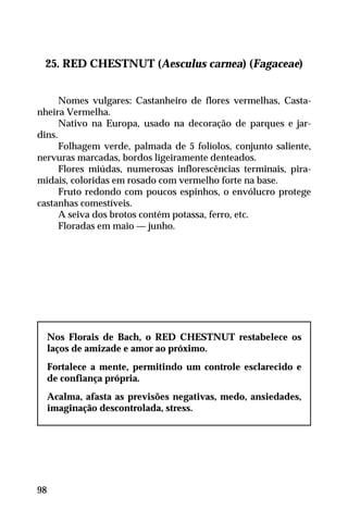 25. RED CHESTNUT (Aesculus carnea) (Fagaceae)
Nomes vulgares: Castanheiro de flores vermelhas, Casta-
nheira Vermelha.
Nativo na Europa, usado na decoração de parques e jar-
dins.
Folhagem verde, palmada de 5 folíolos, conjunto saliente,
nervuras marcadas, bordos ligeiramente denteados.
Flores miúdas, numerosas inflorescências terminais, pira-
midais, coloridas em rosado com vermelho forte na base.
Fruto redondo com poucos espinhos, o envólucro protege
castanhas comestíveis.
A seiva dos brotos contém potassa, ferro, etc.
Floradas em maio — junho.
Nos Florais de Bach, o RED CHESTNUT restabelece os
laços de amizade e amor ao próximo.
Fortalece a mente, permitindo um controle esclarecido e
de confiança própria.
Acalma, afasta as previsões negativas, medo, ansiedades,
imaginação descontrolada, stress.
98
 
