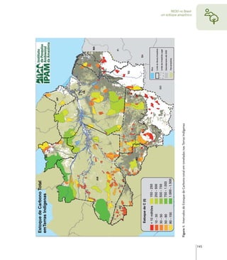 Figura 1. Intervalos de Estoque de Carbono total em toneladas nas Terras Indígenas
                                                                                           um enfoque amazônico
                                                                                                  REDD no Brasil:




145
 