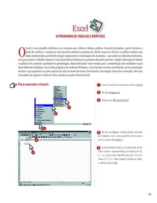 Excel
                                       O PROGRAMA DE TABELAS E GRÁFICOS




O
        Excel é uma planilha eletrônica com recursos para elaborar tabelas, gráficos, formular projeções e gerar números a
        partir de variáveis. A criação de uma planilha substitui o processo de cálculo manual e fornece os gráficos relativos aos
        dados representados, permitindo chegar rapidamente à visualização dos resultados – que podem ser alterados facilmente,
sem que se perca o trabalho anterior. O uso de planilhas eletrônicas no processo educativo permite a rápida elaboração de tabelas
e gráficos com excelente qualidade de apresentação, disponibilizando maior tempo para a interpretação dos resultados e para
testar diferentes hipóteses. Como todo programa do ambiente Windows, o Excel possui recursos semelhantes aos do processador
de texto e que aparecem na parte superior da tela em barras de menu, ferramentas, formatação, fórmulas ou funções, além dos
marcadores de páginas e linha de status situados na parte inferior da tela.


Para executar o Excel:

                                                                               ○
                                                                                   1 Leve o cursor do mouse ao menu Iniciar


                                                                               ○
                                                                               ○
                                                                               ○
                                                                                   2 Vá até Programas
                                                                               ○
                                                                               ○
                                                                               ○
                                                                               ○




                                                                                   3 Clique em Microsoft Excel
                                                                               ○
                                                                               ○
                                                                               ○




                                                    3
                                                                               ○
                                                                               ○
                                                                               ○




                                      2
                                                                               ○
                                                                               ○
                                                                               ○
                                                                               ○
                                                                               ○
                                                                               ○
                                                                               ○
                                                                               ○




                          1
                                                                               ○




                                                                                   4 Ao ser carregado, o Excel exibe uma tela
                                                                               ○
                                                                               ○




                                                                                   de trabalho com uma planilha em branco
                                                                               ○
                                                                               ○




                  4                                                                com o nome de Pasta 1:
                                                                               ○
                                                                               ○
                                                                               ○
                                                                               ○




                                                                                   5 A célula ativa indica o cruzamento entre
                                                                               ○
                                                                               ○




                                                                                   uma coluna, representada por letras (A, B,
              5
                                                                               ○
                                                                               ○




                                                                                   C...) e uma linha identificada por um nú-
                                                                               ○




                                                                                   mero (1, 2, 3...). Na imagem da tela ao lado,
                                                                               ○
                                                                               ○




                                                                                   a célula ativa é B3.
                                                                               ○
                                                                               ○
                                                                               ○
                                                                               ○
                                                                               ○
                                                                               ○
                                                                               ○
                                                                               ○
                                                                               ○
                                                                               ○
                                                                               ○
                                                                               ○




                                                                                                                                    43
 