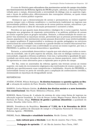 Constituição e Direitos Fundamentais em Perspectiva