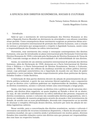 Constituição e Direitos Fundamentais em Perspectiva