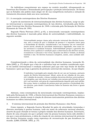Constituição e Direitos Fundamentais em Perspectiva