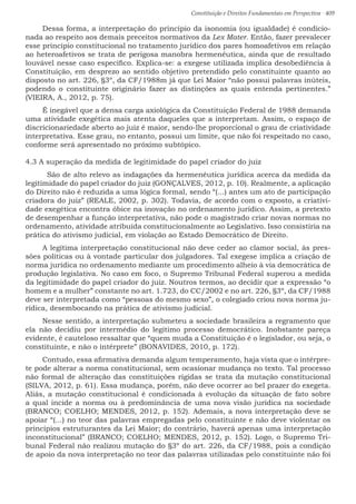 Constituição e Direitos Fundamentais em Perspectiva