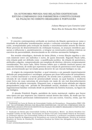 Constituição e Direitos Fundamentais em Perspectiva