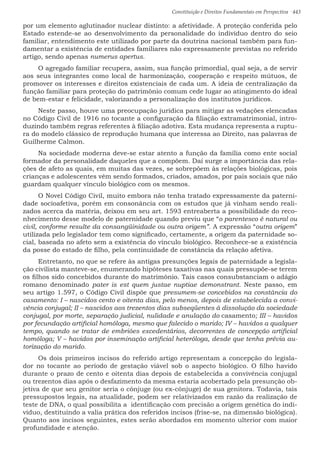 Constituição e Direitos Fundamentais em Perspectiva