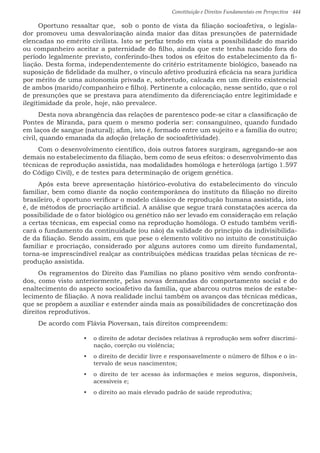 Constituição e Direitos Fundamentais em Perspectiva