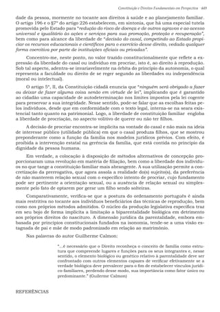 Constituição e Direitos Fundamentais em Perspectiva