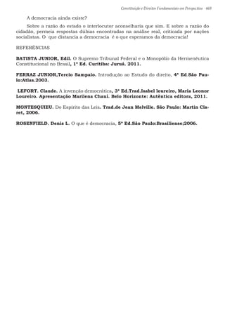 Constituição e Direitos Fundamentais em Perspectiva