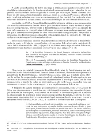 Constituição e Direitos Fundamentais em Perspectiva