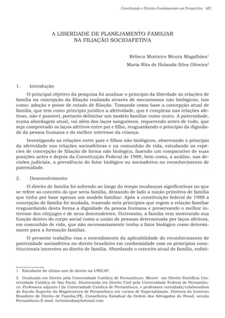Constituição e Direitos Fundamentais em Perspectiva