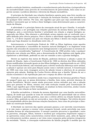 Constituição e Direitos Fundamentais em Perspectiva