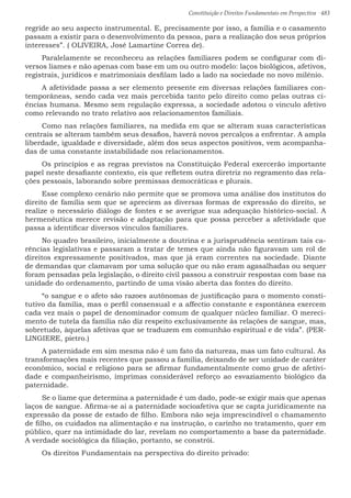 Constituição e Direitos Fundamentais em Perspectiva