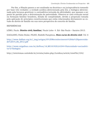 Constituição e Direitos Fundamentais em Perspectiva