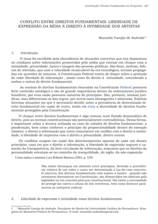 Constituição e Direitos Fundamentais em Perspectiva