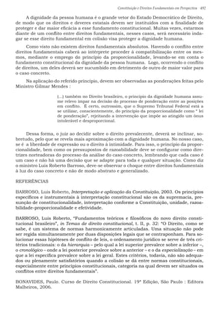 Constituição e Direitos Fundamentais em Perspectiva