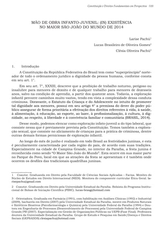 Constituição e Direitos Fundamentais em Perspectiva